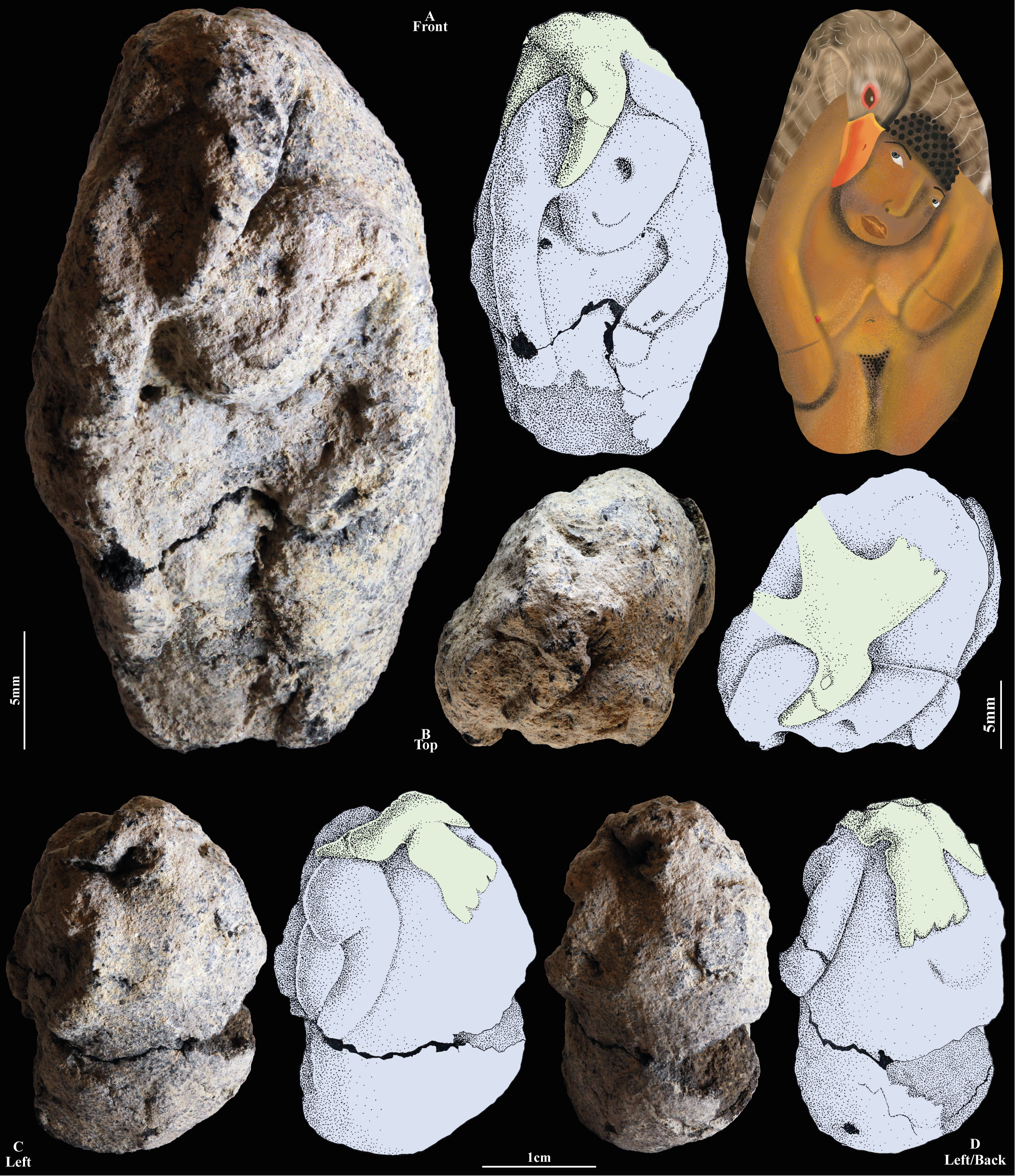 Vue détaillée de la figurine et de sa reconstitution artistique (© Laurent Davin / PNAS)