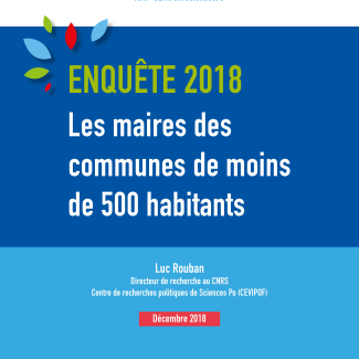 Les maires en première ligne de la crise démocratique